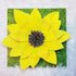 Sunflower Shadow Box